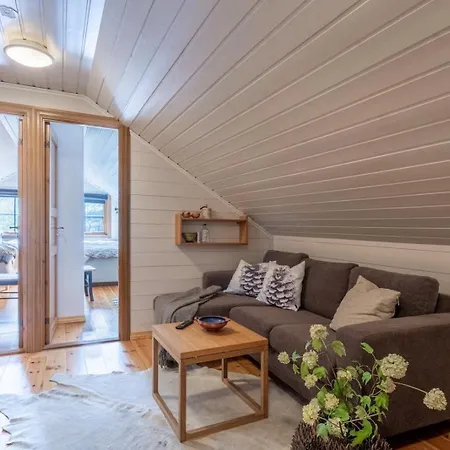 Large In Skardsnuten, Ski-inn-ski-out * Hemsedal