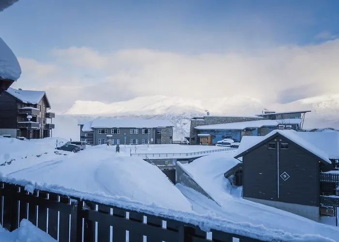 Large In Skardsnuten, Ski-inn-ski-out 公寓 *